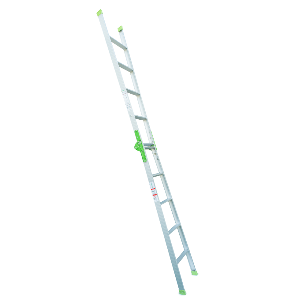 dual purpose ladder