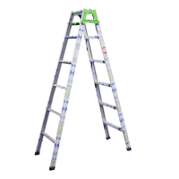 dual purpose ladder