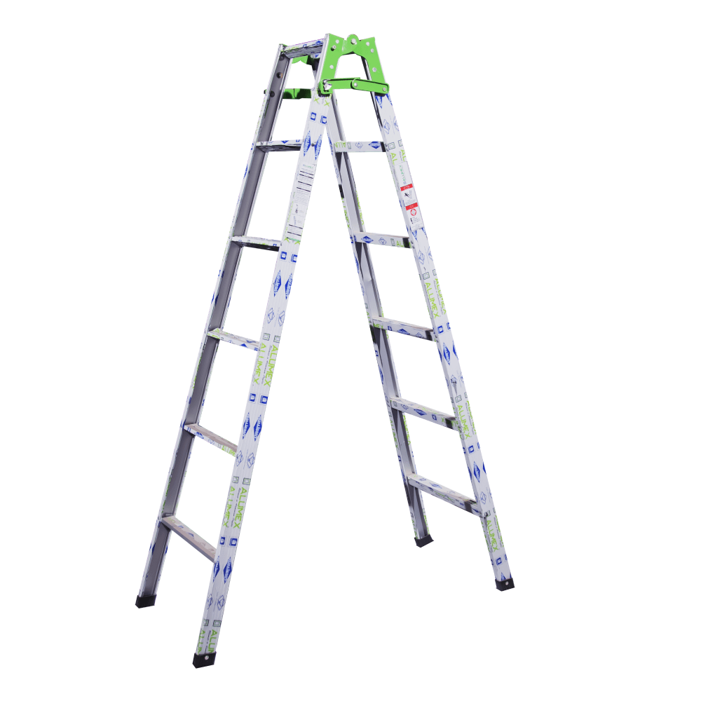dual purpose ladder